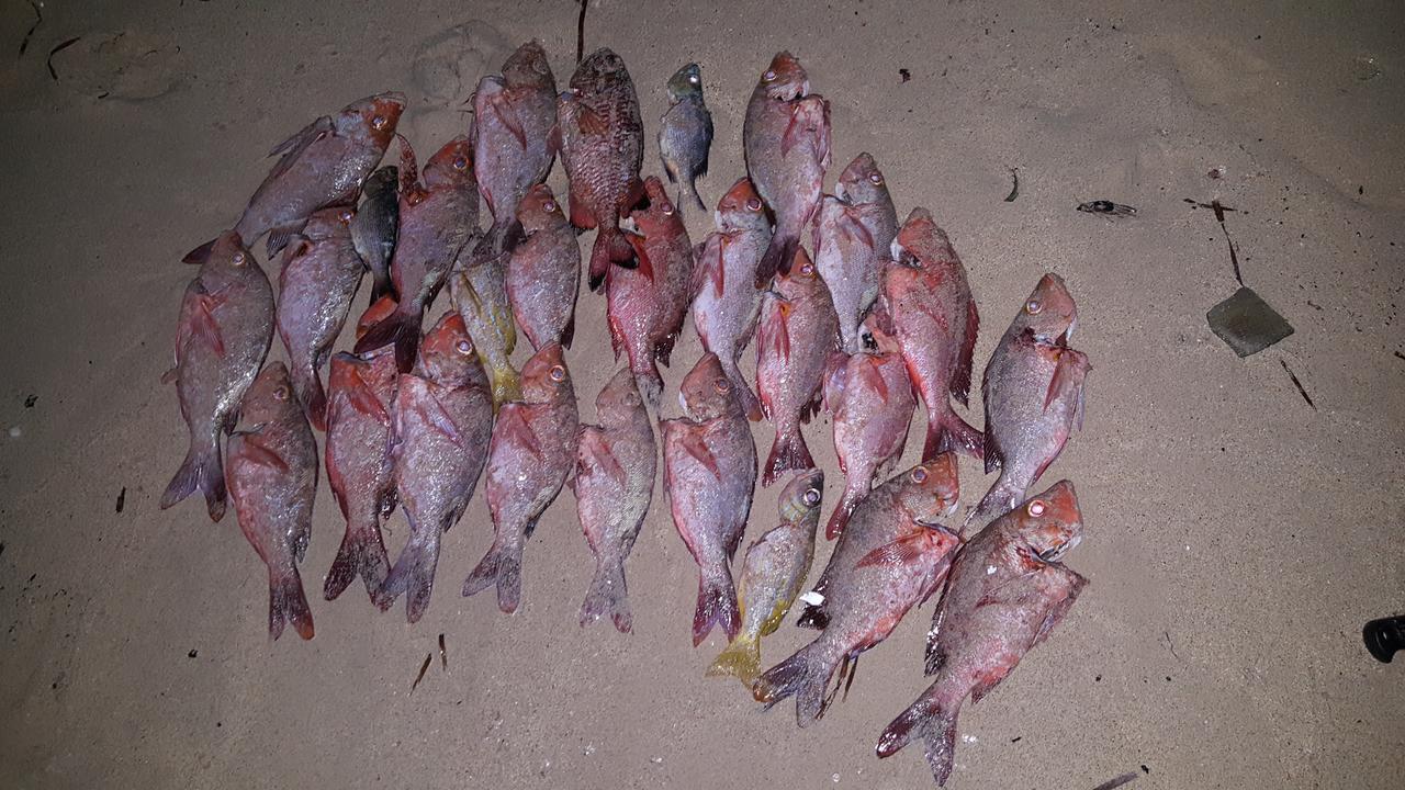 Rasdhoo Dive Lodge Kültér fotó