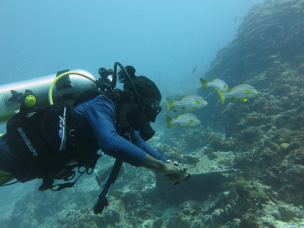 Rasdhoo Dive Lodge Kültér fotó