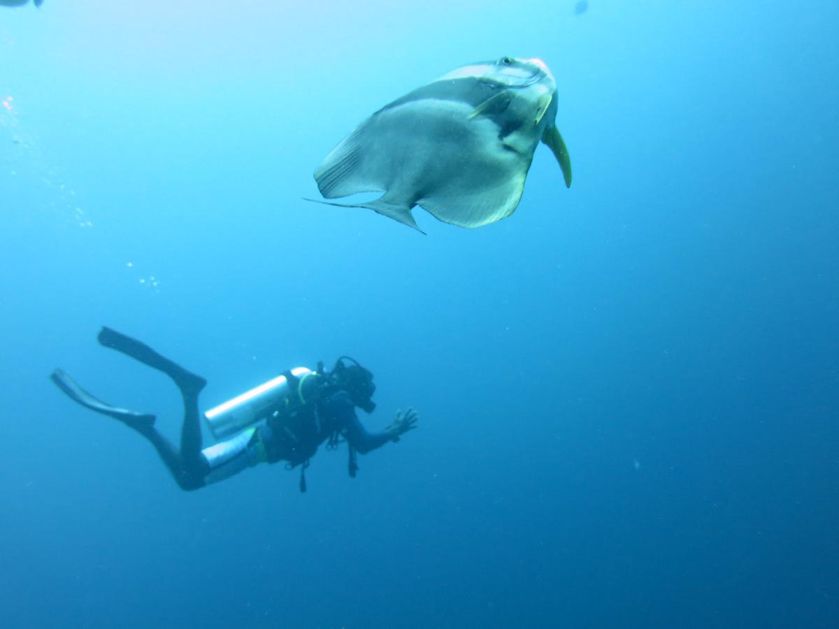 Rasdhoo Dive Lodge Kültér fotó