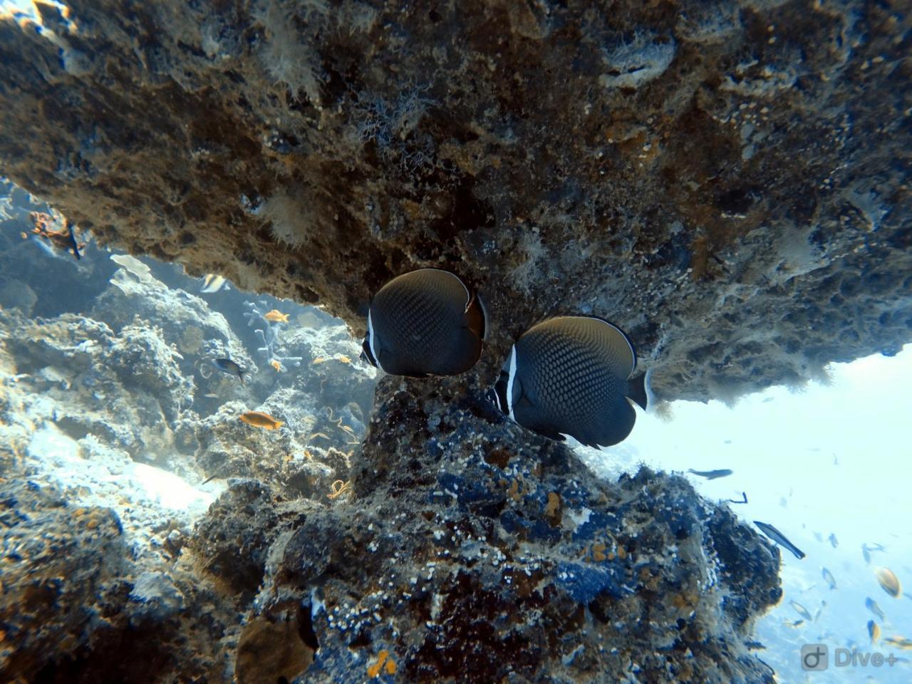Rasdhoo Dive Lodge Kültér fotó