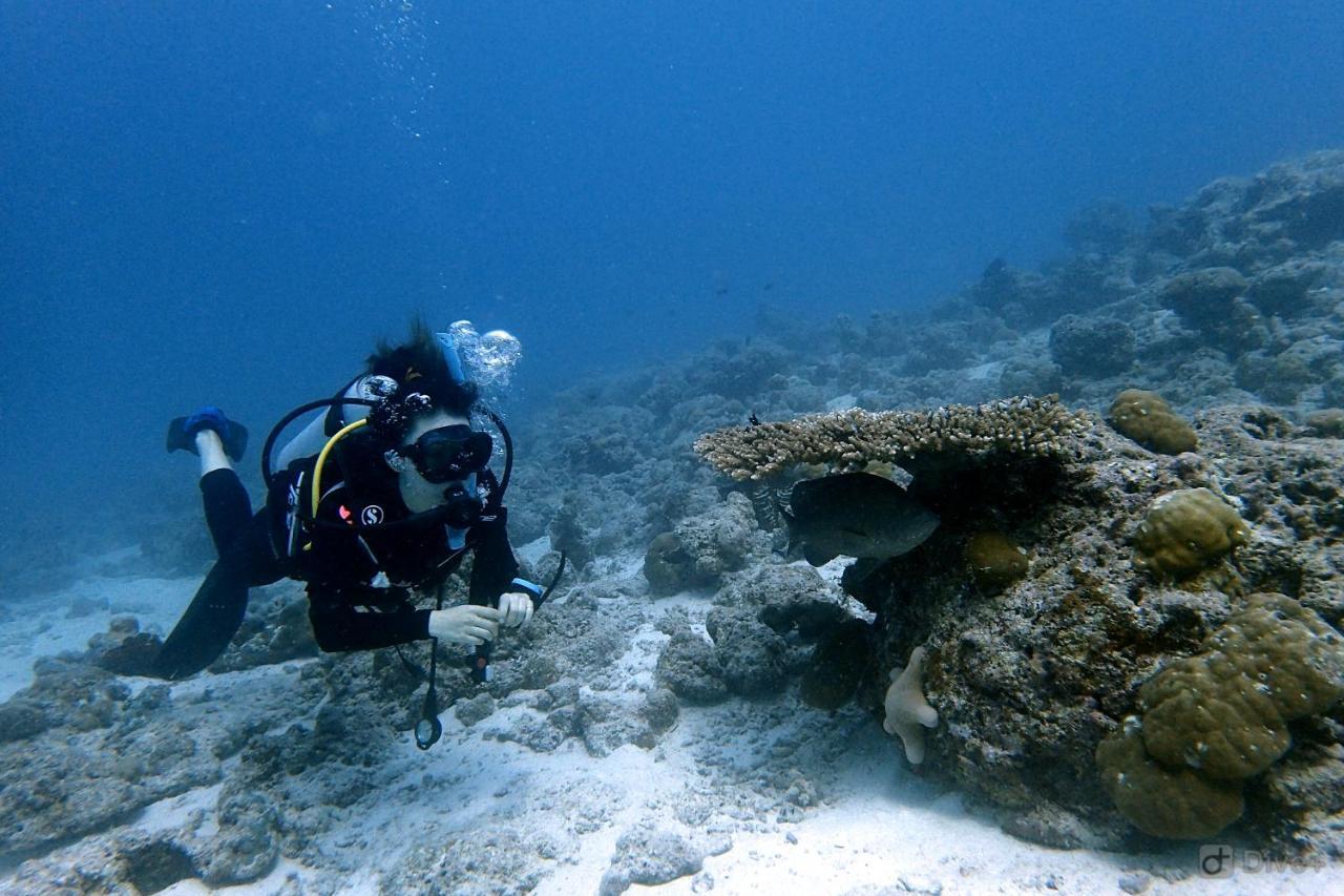 Rasdhoo Dive Lodge Kültér fotó