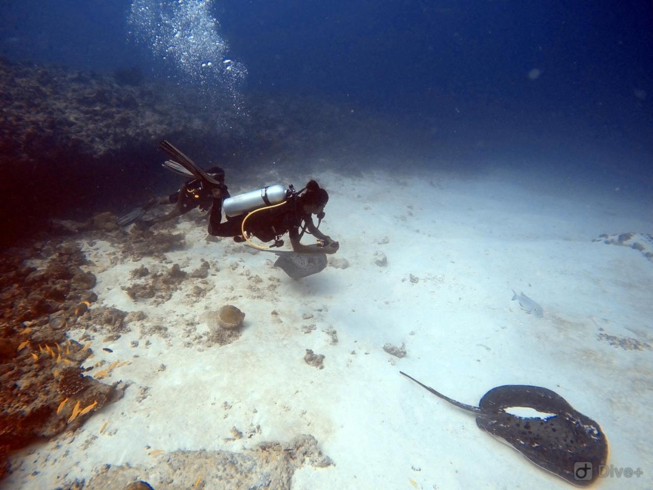 Rasdhoo Dive Lodge Kültér fotó